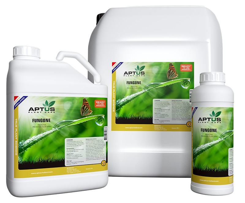 Aptus-Holland-Fungone-fam